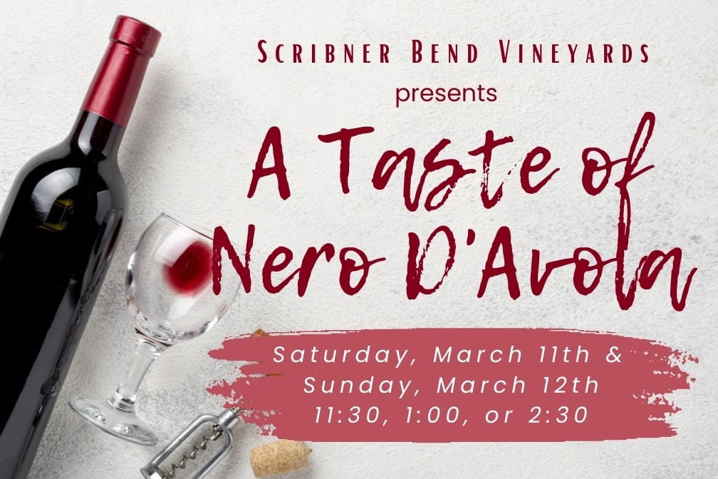 Scribner Bend Vineyards presents A Taste of Nero D’Avola. Saturday, March 11th & Sunday, March 12th at 11:30 AM, 1:00 PM, or 2:30 PM.